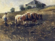 Вспашка поля волами